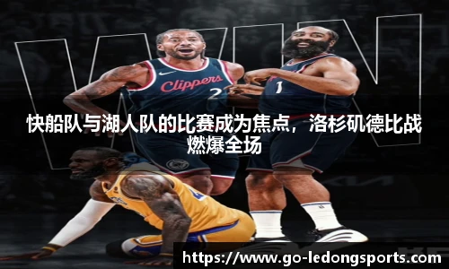 乐动体育LDSPORTS官方网