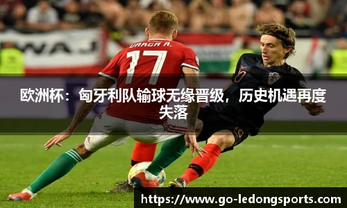LDSports官网登录