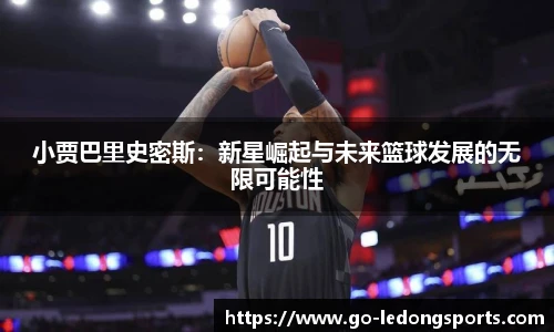 乐动体育LDSPORTS官方网