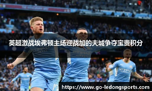 英超激战埃弗顿主场迎战加的夫城争夺宝贵积分