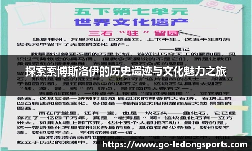 乐动体育LDSPORTS官方网