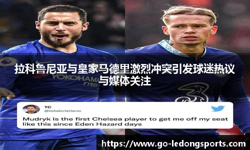 乐动体育LDSPORTS官方网